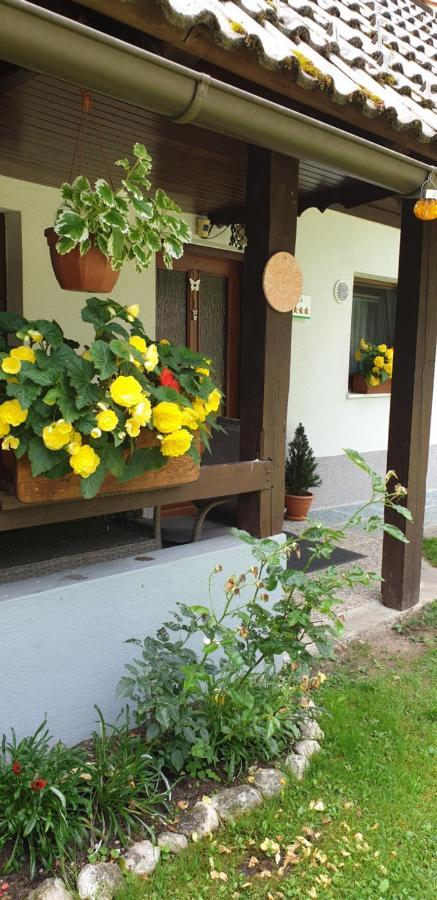 Apartment Sonce ボーヒニ エクステリア 写真